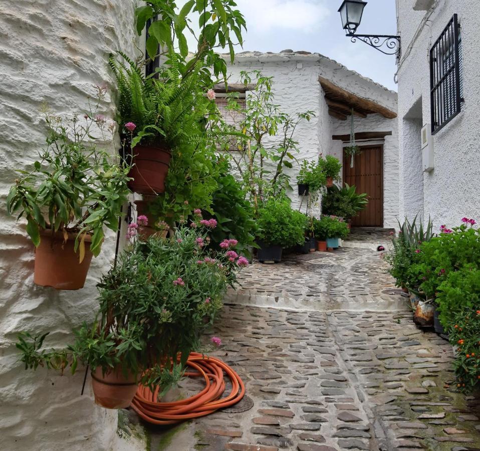 Casa Martina