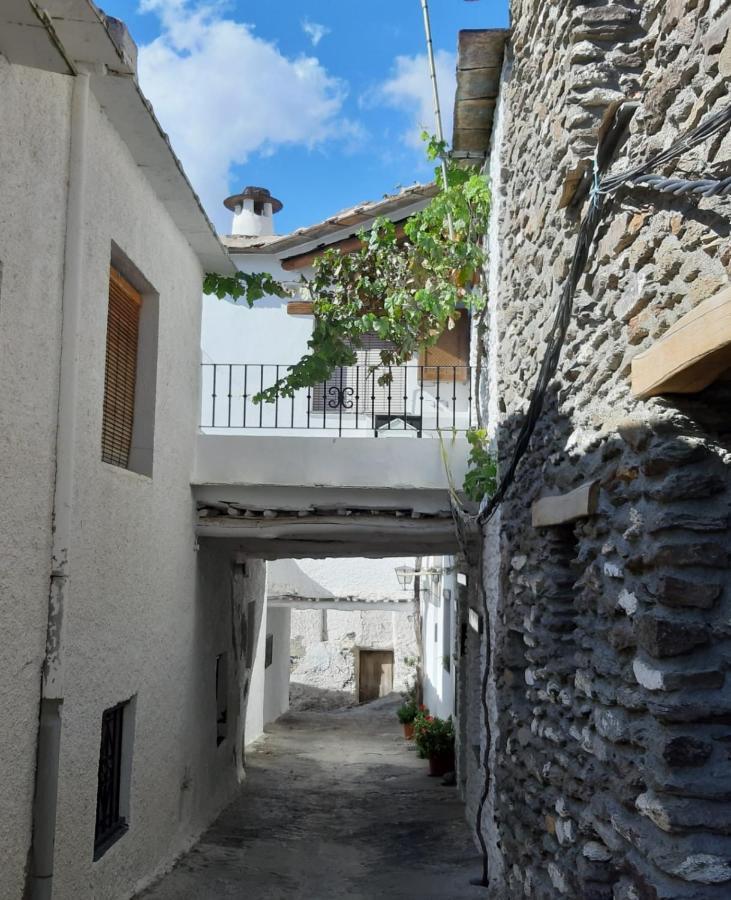 Apartment Casa Martina